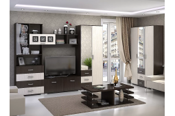 Гостиная Рошель-03 ВТ